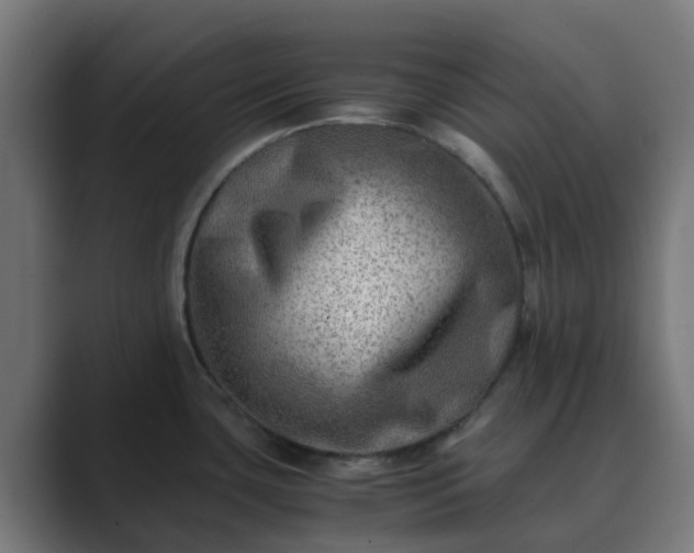 X0000089711435200706281504