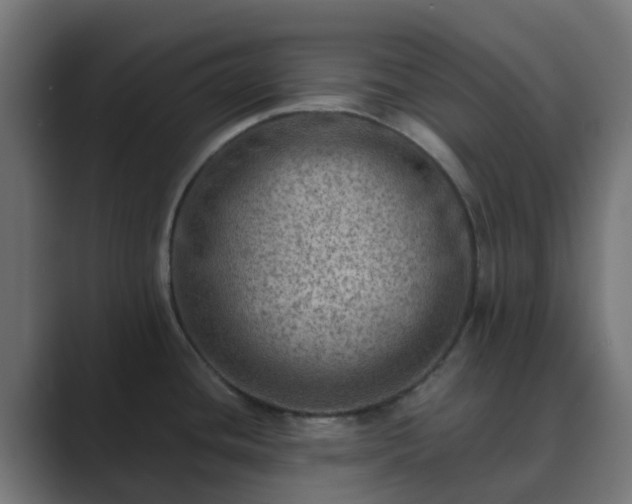 X0000089711436200706281504