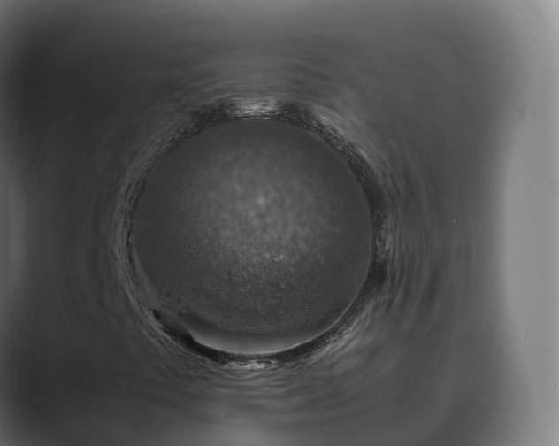 X0000089711441200706281504