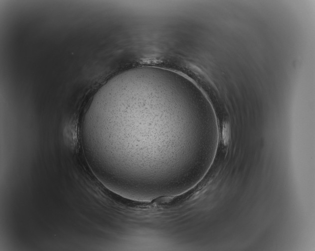 X0000089711444200706281504