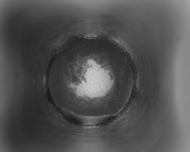 X0000089711445200706281504