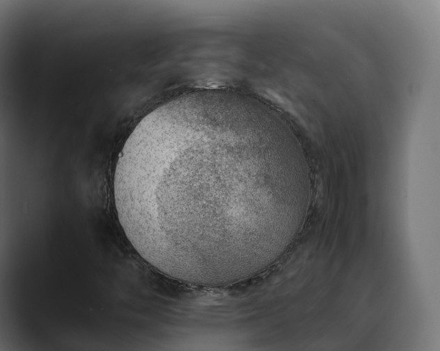 X0000089711446200706281504