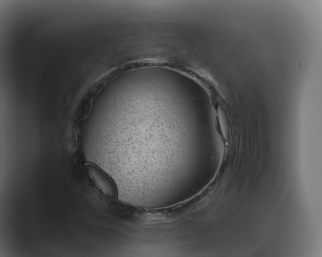 X0000089711448200706281504