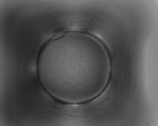 X0000089711450200706281504