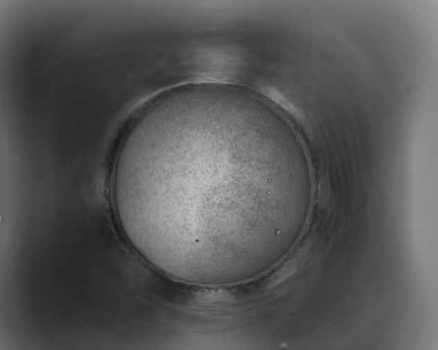 X0000089711454200706281504