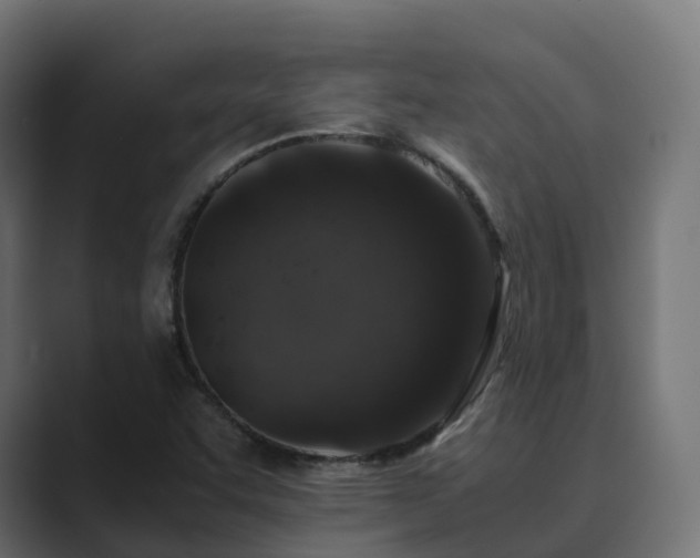 X0000089711455200706281504