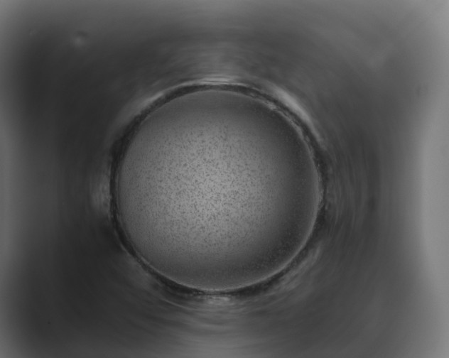 X0000089711456200706281504