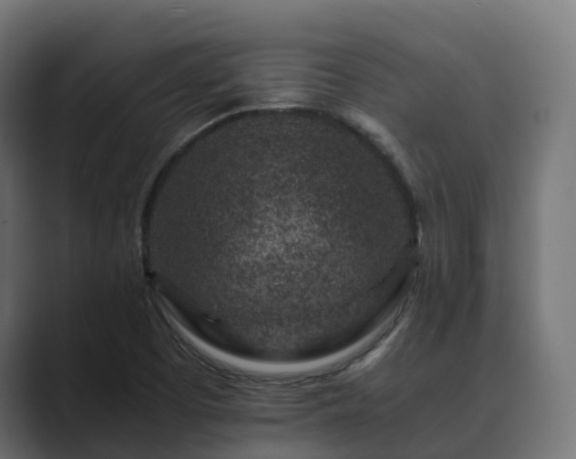 X0000089711457200706281504