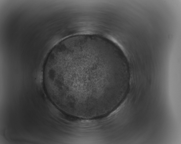 X0000089711459200706281504