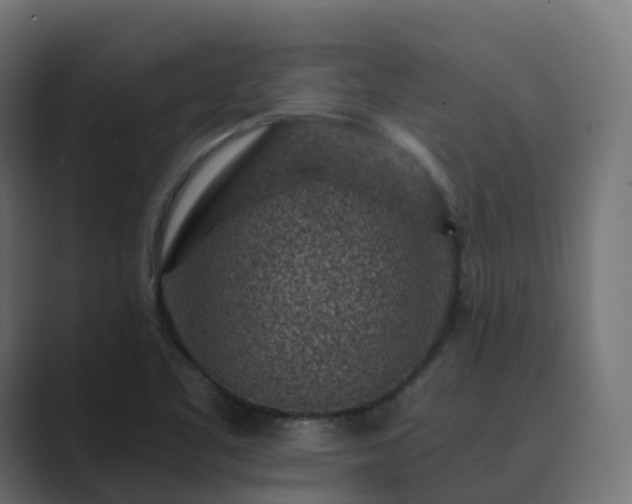 X0000089711461200706281504