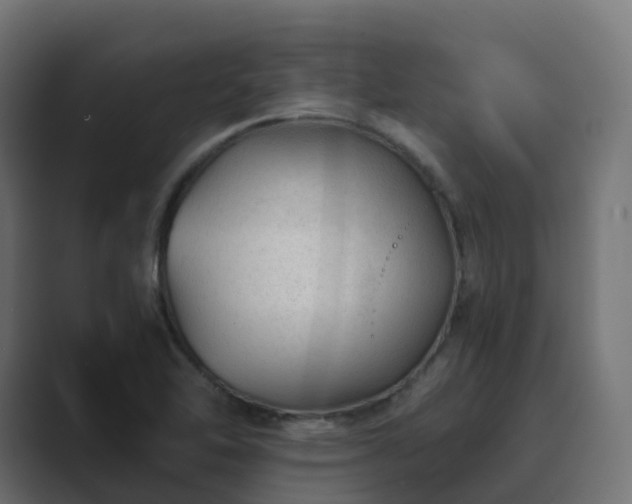 X0000089711462200706281504