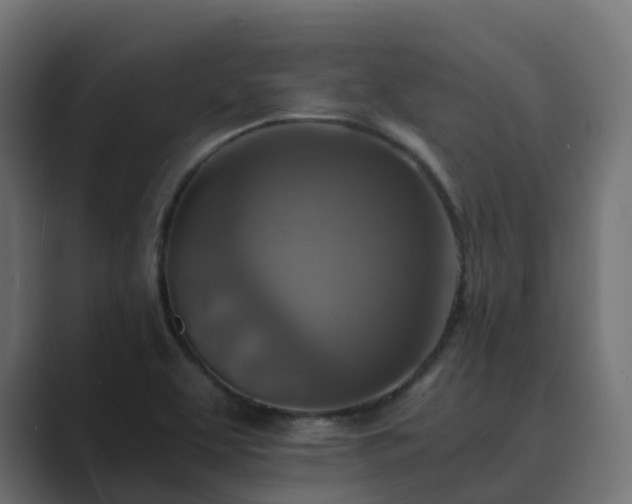 X0000089711463200706281504