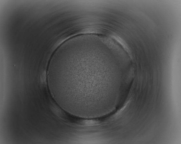 X0000089711465200706281504