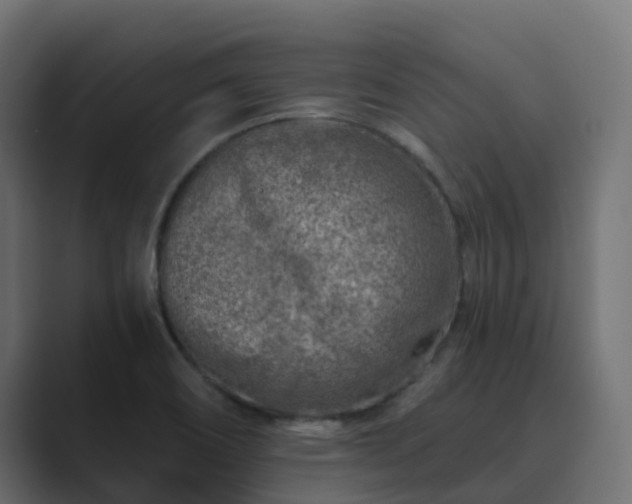 X0000089711466200706281504