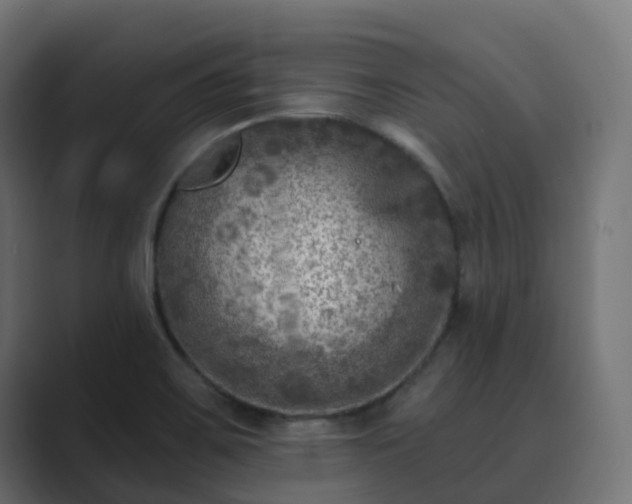 X0000089711467200706281504