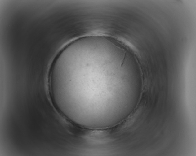 X0000089711470200706281504