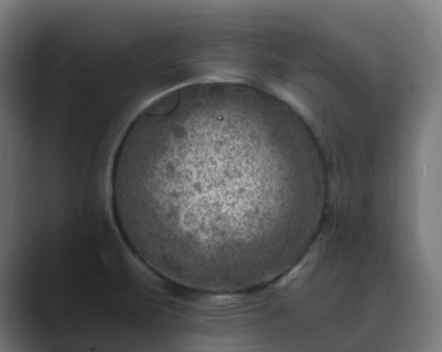 X0000089711471200706281504