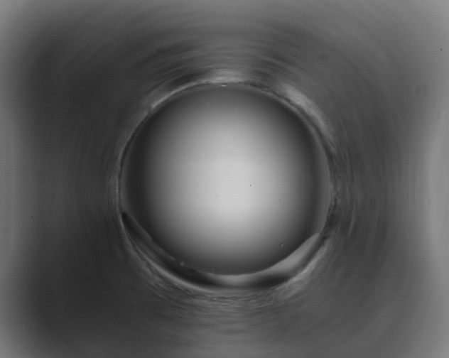 X0000089711473200706281503