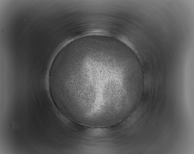 X0000089711474200706281503