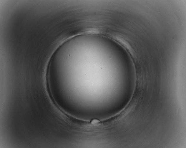 X0000089711475200706281503