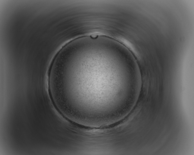 X0000089711476200706281503