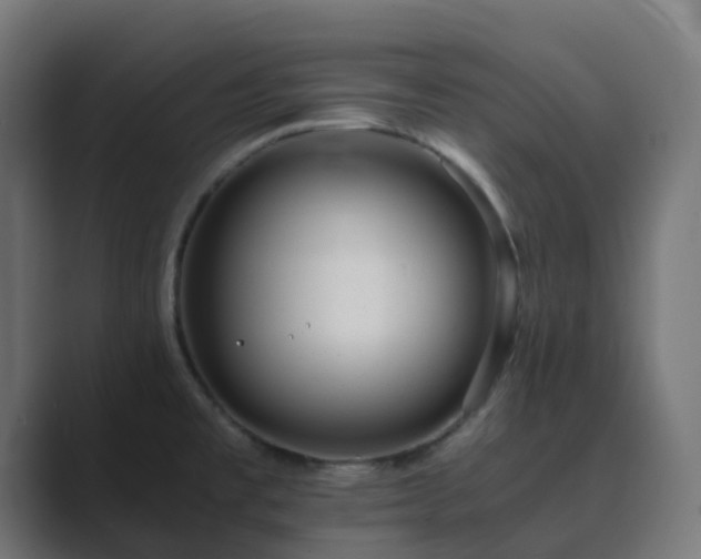 X0000089711477200706281503