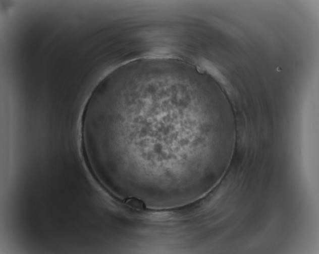 X0000089711479200706281503