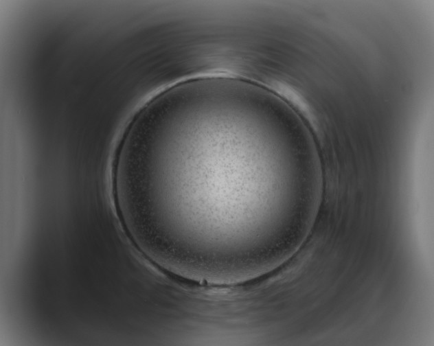 X0000089711480200706281503