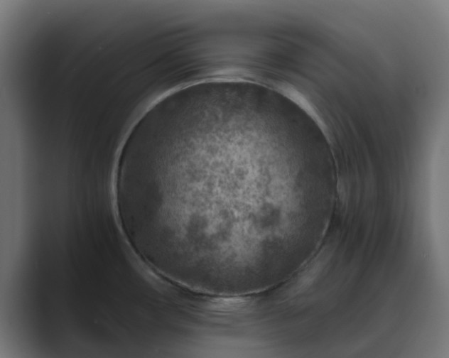 X0000089711482200706281503