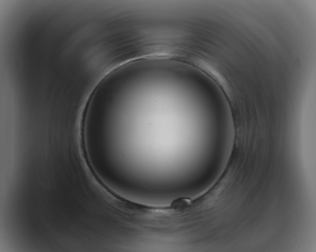 X0000089711483200706281503