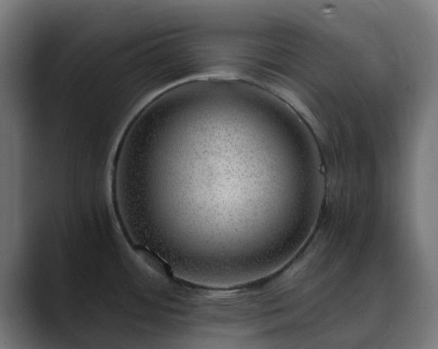 X0000089711484200706281503