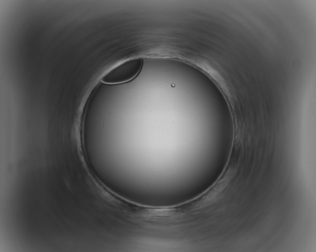 X0000089711486200706281503