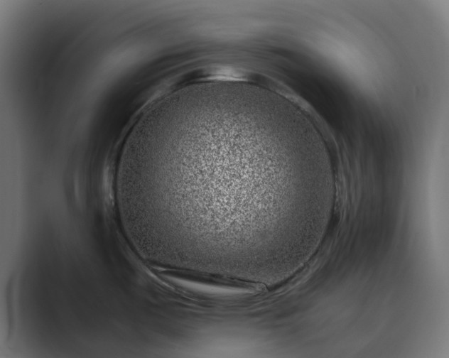 X0000089711487200706281503