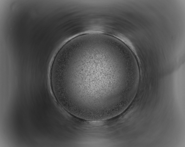 X0000089711488200706281503