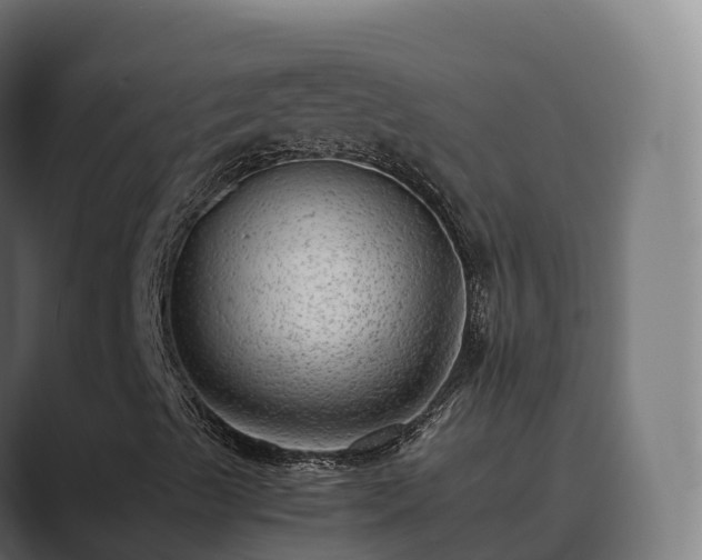 X0000089711489200706281503