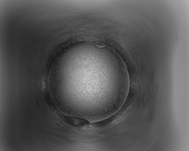 X0000089711490200706281503