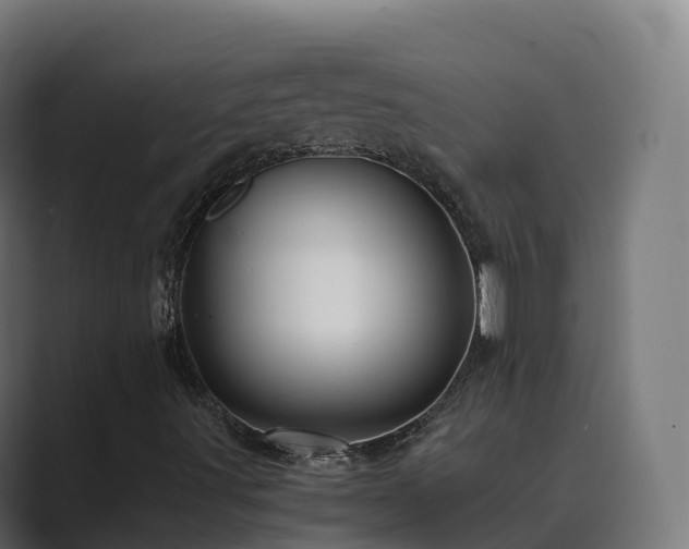 X0000089711491200706281503