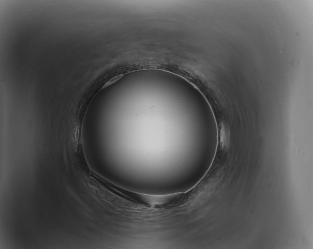 X0000089711492200706281503