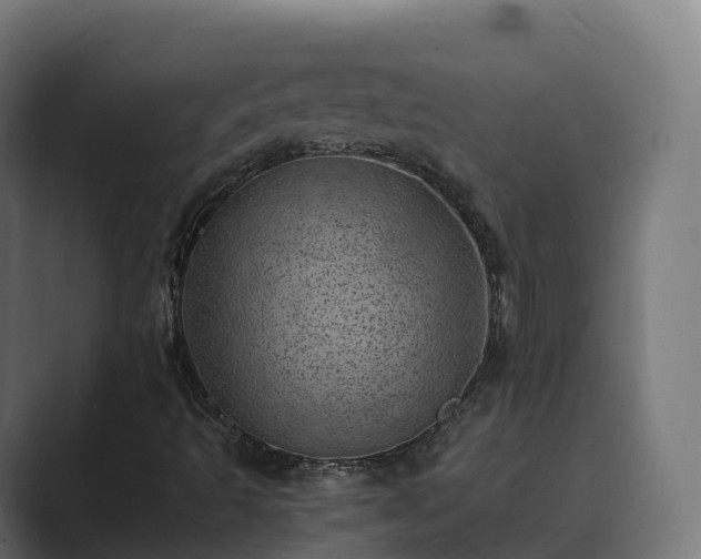 X0000089711493200706281503