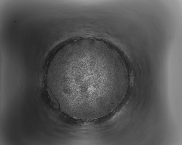 X0000089711494200706281503