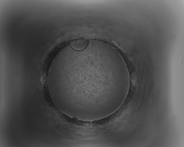 X0000089711495200706281503