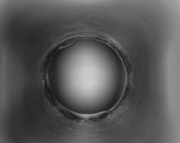 X0000089711496200706281503