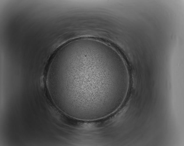 X0000089711497200706281503