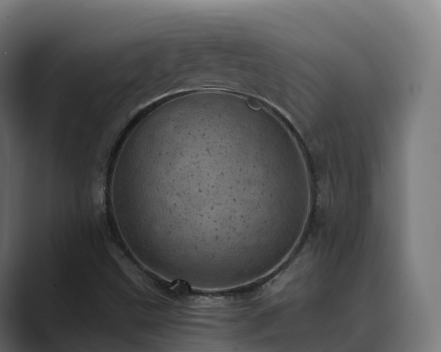 X0000089711499200706281503