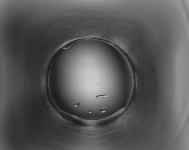 X0000089711500200706281503