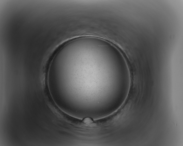 X0000089711503200706281503