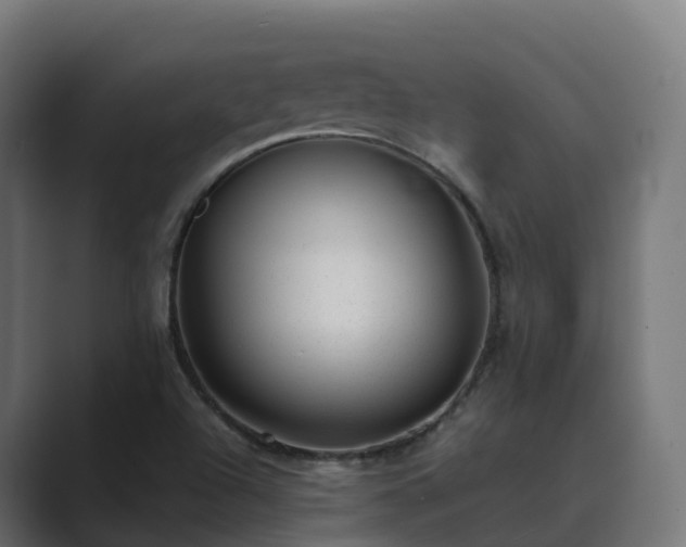 X0000089711504200706281503