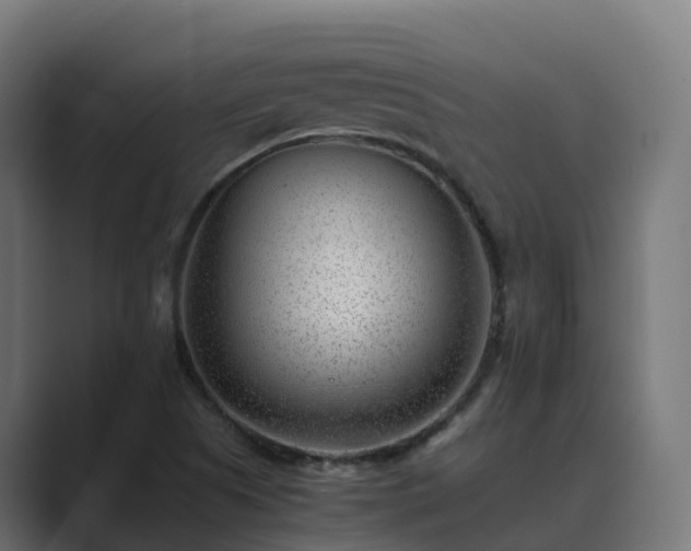 X0000089711505200706281503