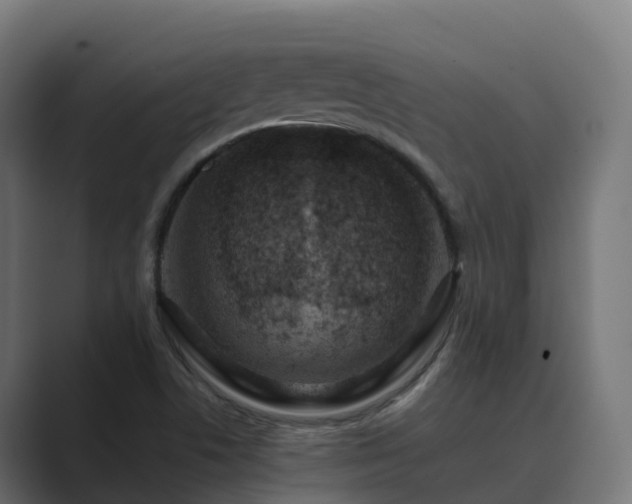 X0000089711506200706281503