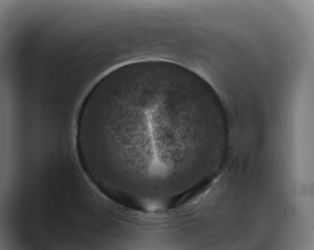 X0000089711508200706281503